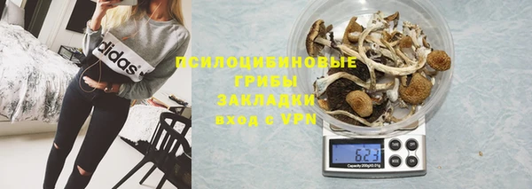 PSILOCYBIN Алексеевка