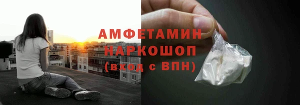 сатива Алзамай
