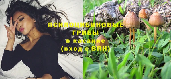 PSILOCYBIN Алексеевка