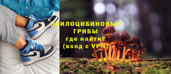 a pvp Алексин