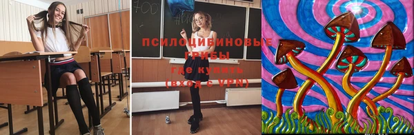 PSILOCYBIN Алексеевка