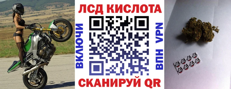Наркотические марки 1500мкг  сколько стоит  Чадан 
