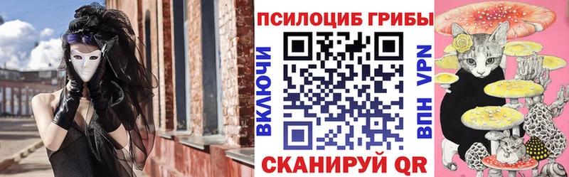 Псилоцибиновые грибы мухоморы  цена наркотик  kraken рабочий сайт  Чадан 